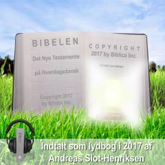 Bibelen på hverdagsdansk