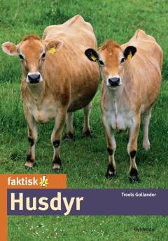 Husdyr