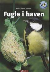 Fugle i haven