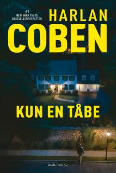 Kun en tåbe : krimi