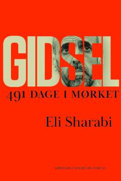 Gidsel : 491 dage i mørket