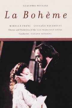 Film (dvd), 2001
