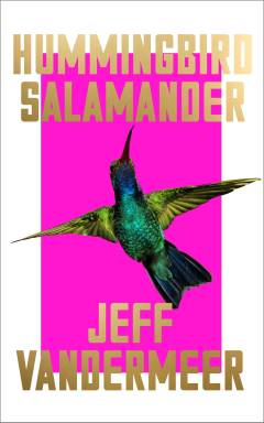 Hummingbird salamander