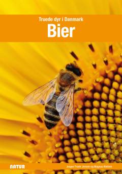 Bier