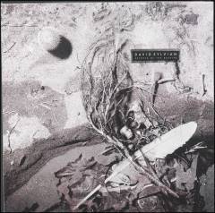 Secrets of the beehive