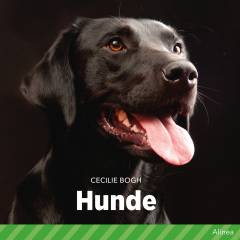 Hunde : et kæledyr