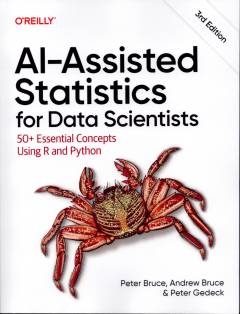 AI-assisted statistics for data scientists : 50+ essential concepts using R & Python