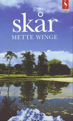 Skår : en provinsroman