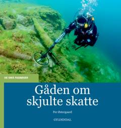 Gåden om skjulte skatte