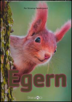 Egern