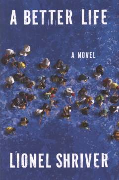 A better life : a novel