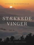 Stækkede Vinger
