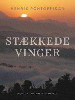 Stækkede vinger