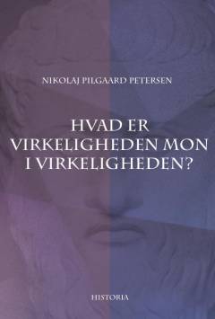 Hvad er virkeligheden mon i virkeligheden?
