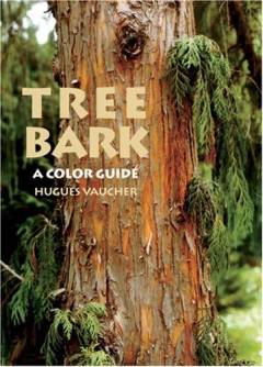 Tree bark : a color guide