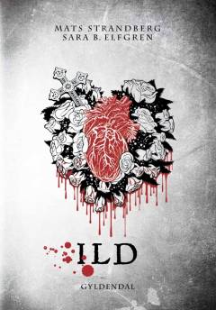 Bog, 1. udgave, 2013