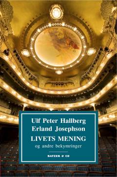 Livets mening og andre bekymringer : kunstroman