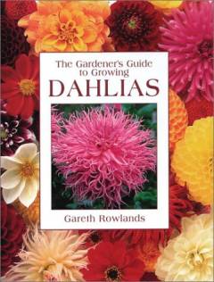 The gardener's guide to growing dahlias