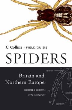 Spiders of Britain & Northern Europe
