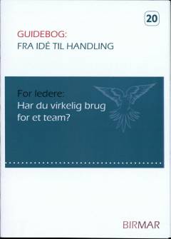 Har du virkelig brug for et team?