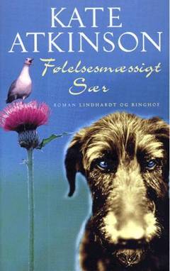 Bog, 2000