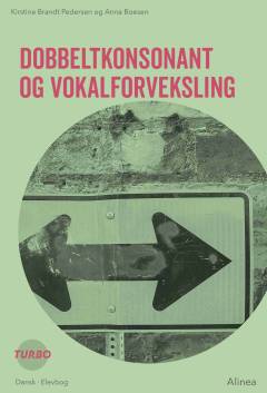 Dobbeltkonsonant og vokalforveksling
