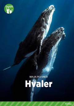 Hvaler