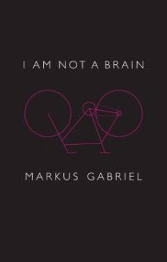 I am not a brain : philosophy of mind for the twenty-first century