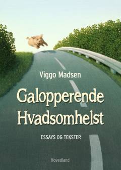 Galopperende hvadsomhelst : essays og betragtninger