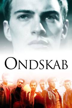 Film (dvd), Undervisningsudgave, 2004