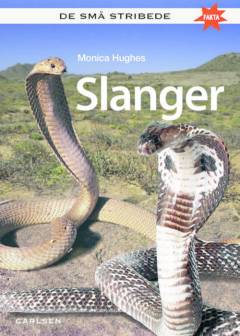 Slanger