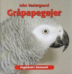 Gråpapegøjer
