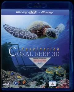 Fascination coral reef