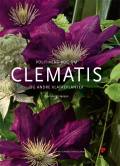Klematis