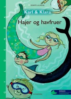 Bog, 1. udgave, 2017