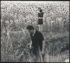 Jesu/Sun Kil Moon