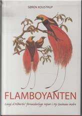 Flamboyanten : Luigi d'Albertis' forunderlige rejser i Ny Guineas indre