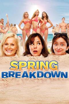 Film (dvd), 2009