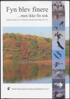 Fyn blev finere - men ikke fin nok