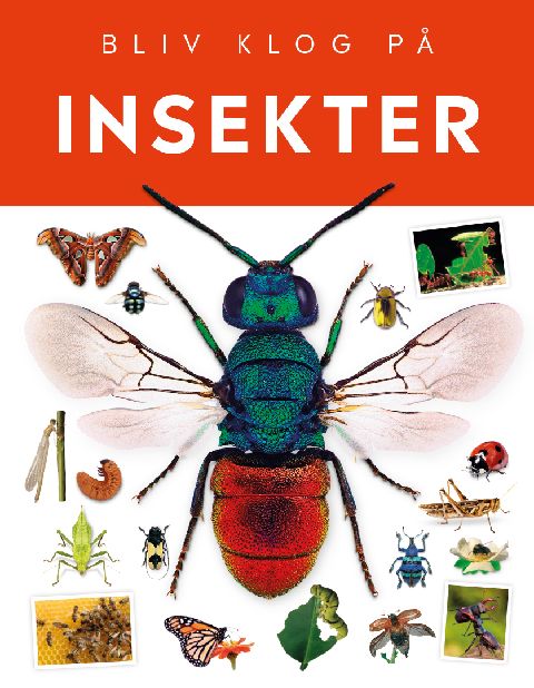 Bliv klog på - insekter