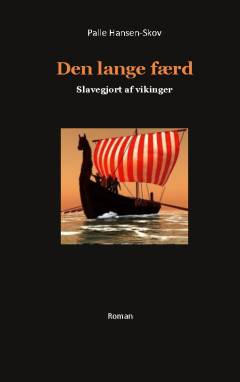 Den lange færd : slavegjort af vikinger