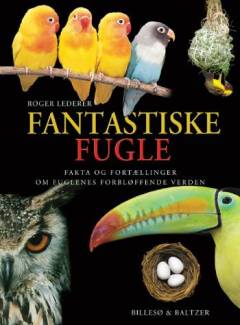 Fantastiske fugle : fakta og fortællinger om fuglenes forbløffende verden