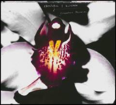Musik (cd), ℗2024
