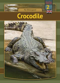 Crocodile