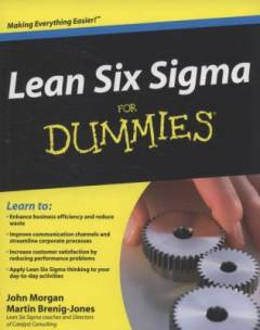 Lean Six Sigma for dummies