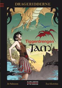 Bog, 1. udgave, 2010