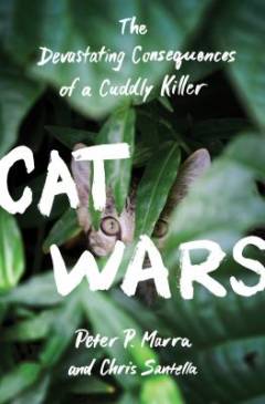 Cat wars : the devastating consequences of a cuddly killer