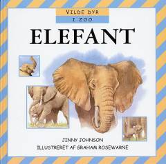 Elefant