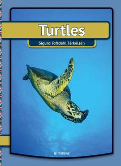 Turtles