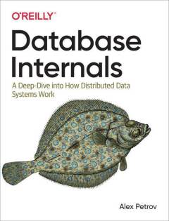 Database internals : a deep dive into how distributed data systems work